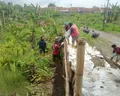 Respons Dampak Hujan Ekstrem di Wilayah Tembalang, Pemkot Semarang Gerak Cepat Perkuat Tanggul Kali Babon