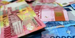 Ilustrasi THR PNS dan ASN 2023 (Sumber : Pixabay)