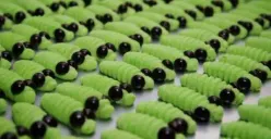 Resep Cookies Ulat Daun, Hanya Butuh 3 Bahan Saja