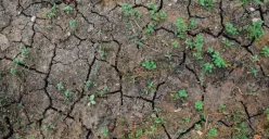 Hari Ini 2 Kali Gempa, Magnitudo 4,7 di Sukabumi dan M 4,9, di Bayah Banten