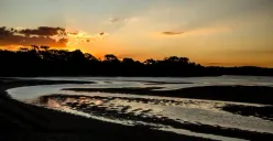 alat yang bisa digunakan untuk mengamati gerhana (Sumber : unsplash.com)