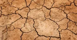 Cuaca panas ekstrim bisa mengakibatkan beberapa kerusakan alam (Sumber : pixabay)