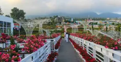Celosia Flower Garden di Semarang. (Sumber : Situs resmi Visit Jawa Tengah)