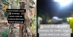Video Viral! Anak 3 Tahun di Subang Hilang Misterius Diduga Disembunyikan Makhluk Halus, Benarkah?