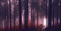 Daftar 10 Kasus Orang Hilang Misterius yang Belum Ditemukan Hingga Saat Ini, Benarkah Disembunyikan Makhluk Halus?