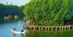 Puri Maerokoco, suguhkan pemandangan hutan mangrove dan wisata pintar bagi anak-anak (Sumber : instagram)