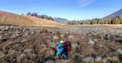 3 Pesona Gunung Merbabu, Keindahan Alam yang Mampu Menghipnotis Mata Pendaki. Bikin Betah!