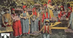 7 Tradisi Unik di Negara Argentina, Ada Perayaan Panen Anggur Paling Meriah