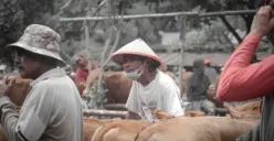 Tips mengatur Anggaran Jelang Idul Adha Jika Ingin Melaksanakan Ibadah Kurban