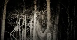 10 Mitos Konyol Tentang Makhluk Gaib di Dunia, Ada Hantu yang Senang Main Petak Umpet!