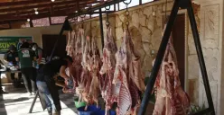 tata cara pembagian daging kurban(Sumber : Twitter)