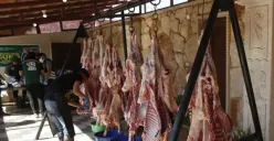 Tata Cara Membagi Jatah Daging Kurban yang Baik dan Benar sesuai Syariat