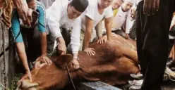 Penyembelihan hewan kurban harus sesuai syariat Islam (Sumber : Twitter)