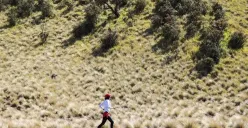 Gunung Lawu. (Sumber : instagram/lawumountain)