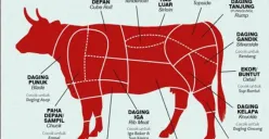 Bagian-bagian daging sapi yang harus diketahui saat menerima banyak kiriman daging saat Idul Adha (Sumber : Twitter)