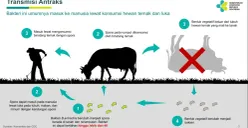 Waspada penyakit antraks yang bisa menular dari hewan ke manusia. Kenali gejala dan jenisnya! (Sumber : kemkes.go.id)