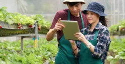 Ilustrasi | Tips Sukses Berkebun Tanpa Perlu Lahan Luas (Sumber : Freepik/pressfoto)