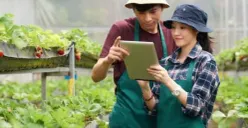 Tips Sukses Berkebun Tanpa Perlu Lahan Luas, Bisa Memanfaatkan Barang Bekas Juga