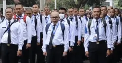 PPPK part time merupakan solusi bagi mereka yang terkena penghapusan tenaga honorer (Sumber: instagram @infocpnsterkini)