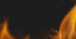 Bahaya Racun jika Bakar Sampah Sembarangan, Apa Saja Itu?