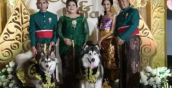 Pernikahan mewah anjing bernama Jojo dan Luna habiskan biaya hingga Rp200juta (Sumber : instagram.com/undercover.id)