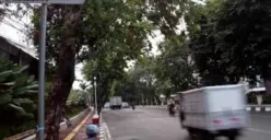 Sistem Satu Arah Jalan Veteran, Kariadi dan Kyai Saleh Tuai Protes Warga Semarang, Dishub: Masih Sosialisasi