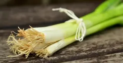 Tips simpan daun bawang di rumah (Sumber : Pixabay/congerdesign)