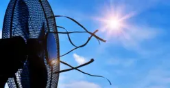 Viral Curhatan Pembeli di Kolom Review E-Commerce, Berhasil Hentikan Gangguan Tetangga Berisik Pakai Kipas