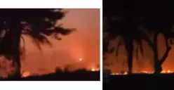 Kebakaran di Pantai Marina Semarang Terjadi Lagi, Apa Penyebabnya? Padang Ilalang Tampak Kemerahan Hingga Kerahkan 3 Mobil Damkar