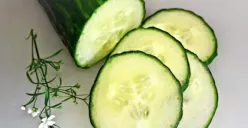 Ilustrasi mentimun (Sumber : Pixabay/Monica1607)