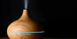 Ilustrasi humidifier (Sumber : Pixabay/asundermeier)