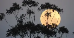 Ilustarsi | Cara Memotret Supermoon dengan HP Android 2 Jutaan (Sumber : Pixabay.com/rogerp64)