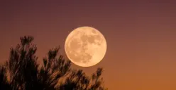 Waktu Terbaik Warga Semarang Menyaksikan Supermoon, Simak Dampaknya Bagi Bumi