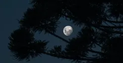 Tips memotret Supermoon yang akan terjadi nanti malam menggunakan kamera. (Sumber : Pexels/Felipe Gaioski)