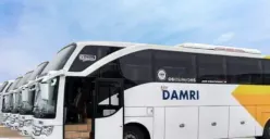 7 Rekomendasi Sewa Bis di Semarang Terbaru Agustus 2023 Terpercaya dengan Harga Murah DI SINI