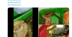 Geger Mahasiswa UIN Walisongo Diberi Makanan Basi, Santri Ini Unggah Bukti Lauk Penuh Ulat