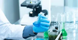 IlustrasiI Mahasiswi S2 IPB tewas dalam kebakaran laboratorium (Sumber : pexels.com)