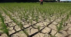 Pemprov Jateng Bersiap Hadapi Kekeringan, Siapkan Anggaran Fantastis