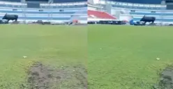 Kondisi Terkini Rumput Stadion Jatidiri Semarang padahal 2 September Ada Laga PSIS vs Bali United