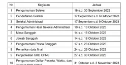 3 agenda penting seleksi CPNS dan PPPK 2023 di September.