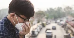 bronkopneumonia, penyakit saluran pernafasan yang disebut serang banyak warga Kota Semarang dampak kualitas udara buruk (Sumber : alodokter)