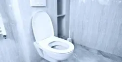 Sudah Tahu? Ternyata BAB Jongkok Lebih Baik Daripada Duduk, Begini Penjelasannya