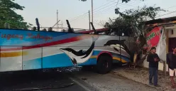 Bus Sumber Selamat ringsek parah seusai adu banteng dengan Bus Eka Cepat di Geneng, Ngawi, Jawa Timur, Kamis 31 Agustus 2023 subuh, 3 orang tewas. (Sumber : Facebook Neny Aini)