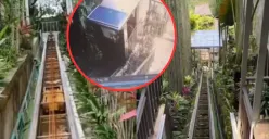 Kronologi Tali Lift Resort di Ubud Putus, Jatuh ke Jurang dan Tewaskan 5 Karyawan (Sumber : Istimewa)