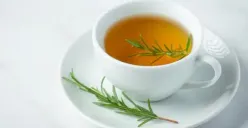 Minum Teh Setiap Hari Bisa Jaga Berat Badan dan Sehatkan Jantung? Berikut Segundang Manfaat Lainnya yang Wajib Diketahui