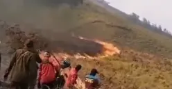 Kebakaran di sabana Gunung Bromo, Malang, Jawa Timur, Rabu 6 September 2023, diduga gara-gara kembang api prewedding. (Sumber : Instagram @anomharya)