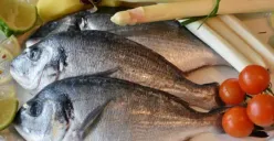 Jangan Dibuang, Coba Manfaatkan Sisik Ikan untuk 3 Hal Berikut Ini