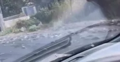 Beredar video yang memperlihatkan ratusan lele yang berceceran memenuhi jalan di Penggung, Gunungpati, Kota Semarang, Minggu 10 September 2023. (Sumber : Instagram @kejadiansmg)