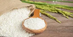 Miris! Harga Beras Kian Meroket di Pasaran, Gabah Petani Cuma Rp 5 Ribu-an