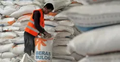 Ilustrasi | Pemkot Semarang siap melakukan penetrasi pasar dan menjual beras dengan harga terjangkau kepada masyarakat. (Sumber : bulog.co.id)